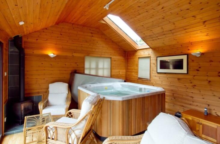 modern-saunas-have-high-tech-functions